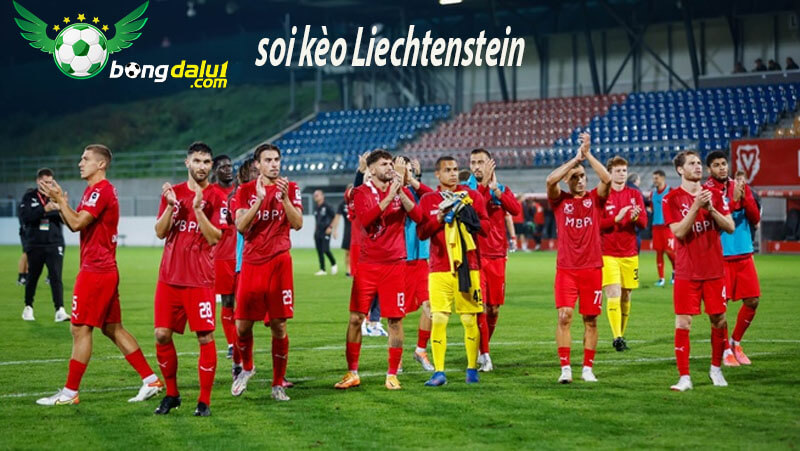 Đội khách đội tuyển Liechtenstein