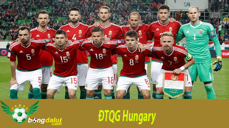 Đội nhà Hungary