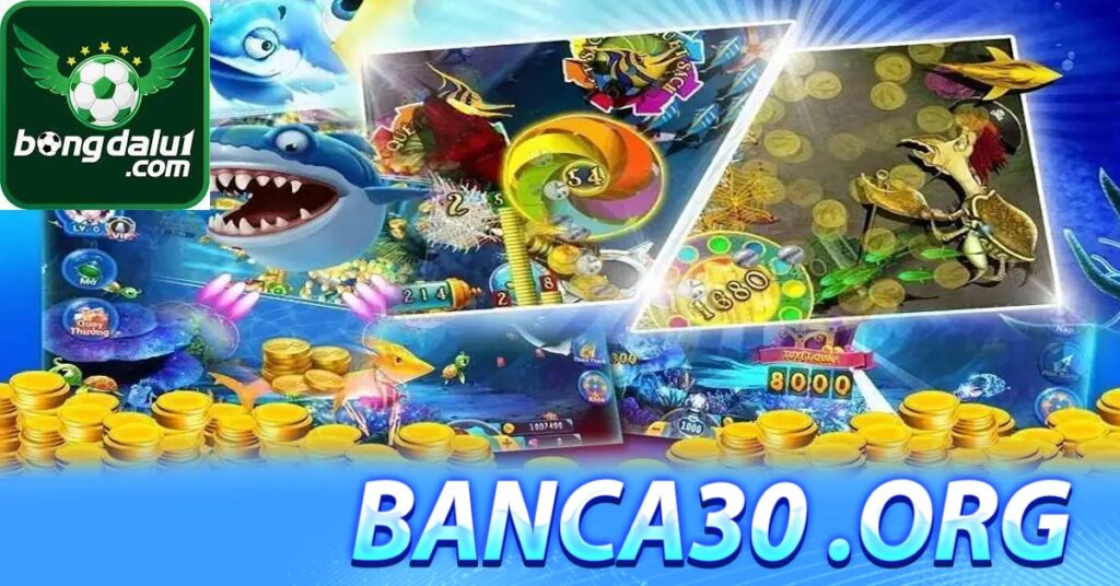 Giới thiệu tổng quát về Banca30